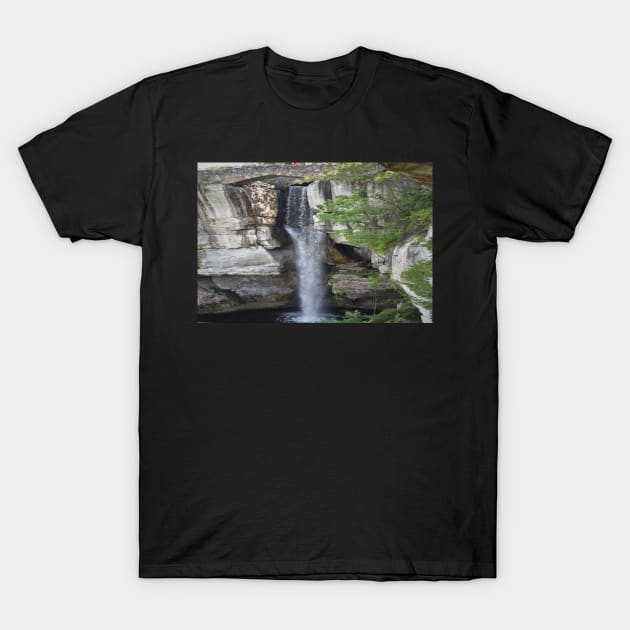 The High Falls T-Shirt by Ckauzmann